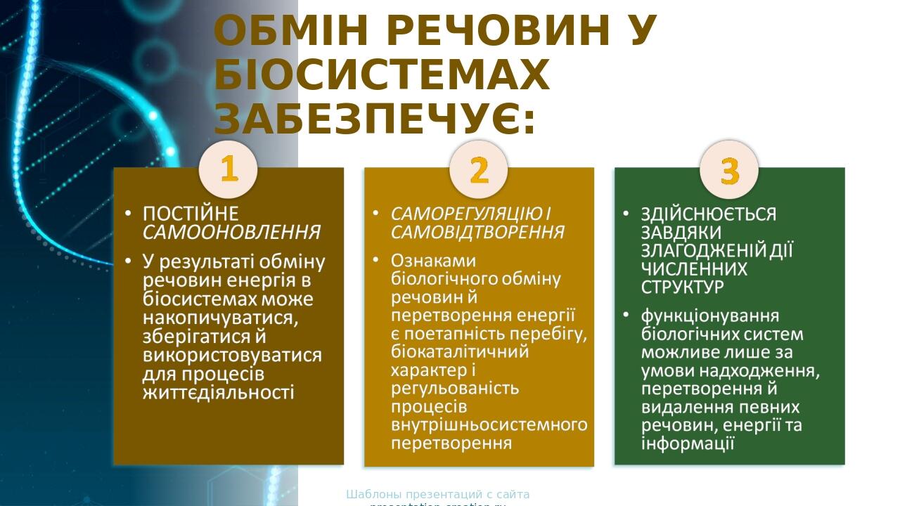 ОБМІН РЕЧОВИН У БІОСИСТЕМАХ ЗАБЕЗПЕЧУЄ: Шаблоны презентаций с сайта presentation-creation.ru