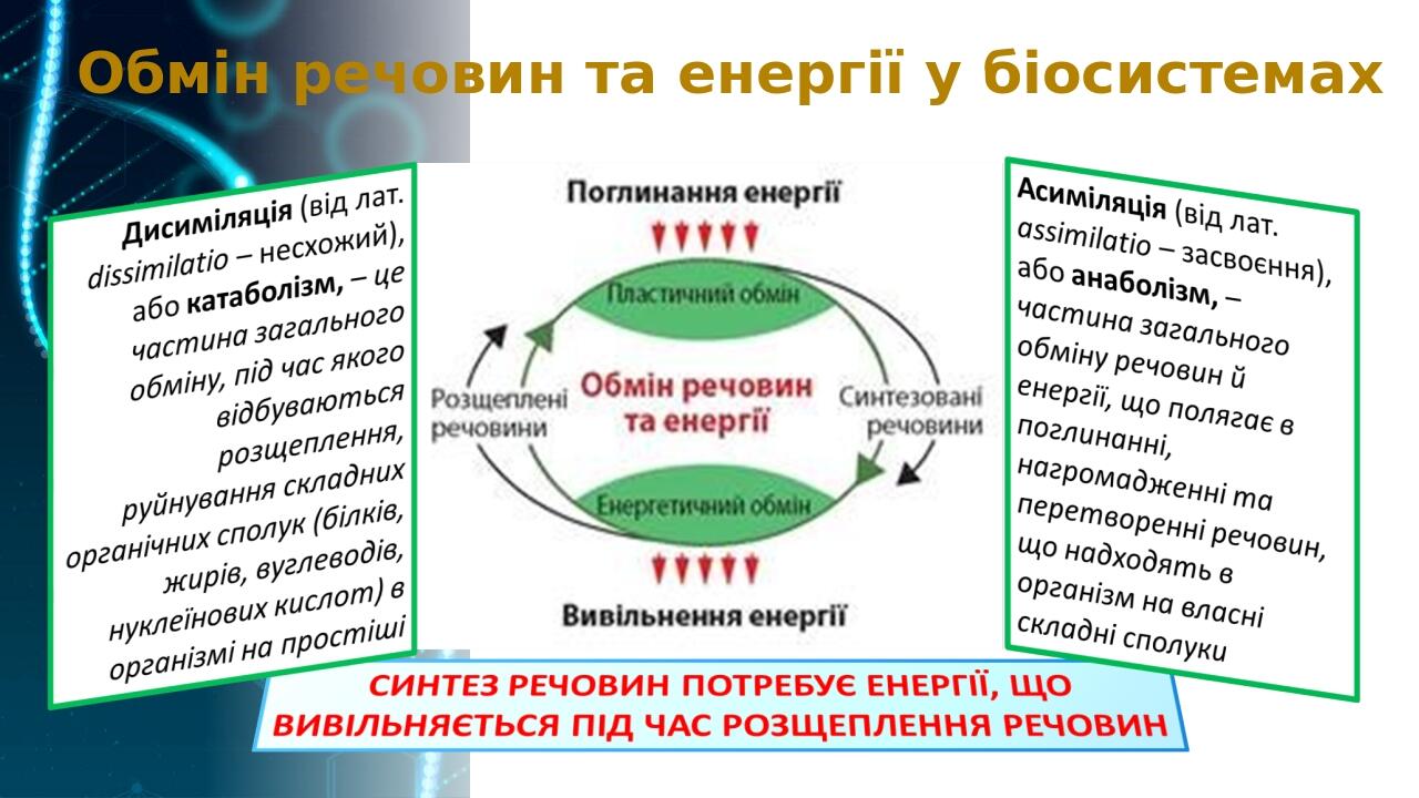 Обмін речовин та енергії у біосистемах