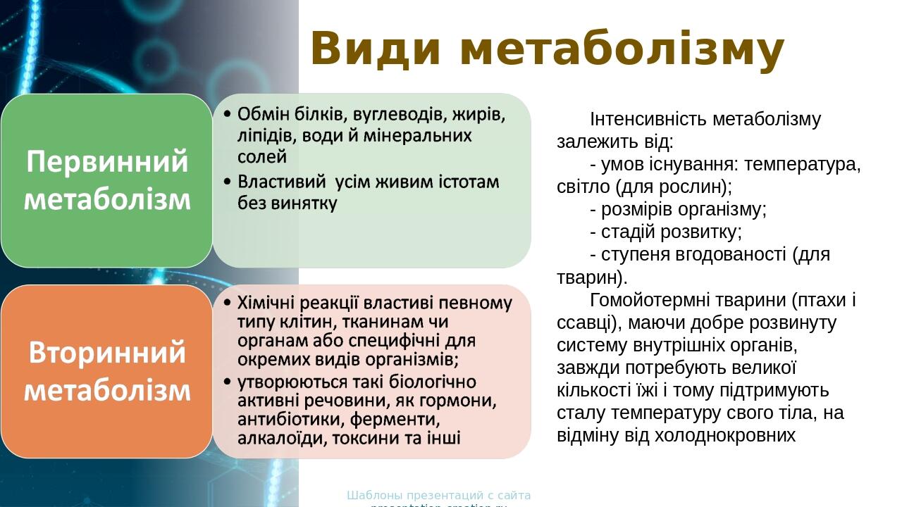 Види метаболізму Шаблоны презентаций с сайта presentation-creation.ru Інтенсивність метаболізму залежить від: - умов існування: температура, світло...