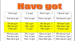 Have got/has got