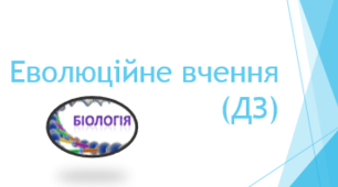 Еволюція (ДЗ)