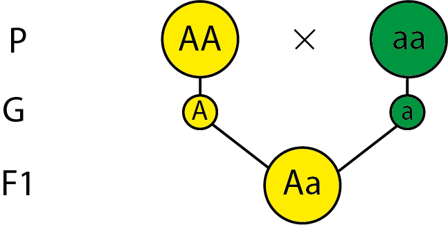 0201l8ql-1315-647x325.png