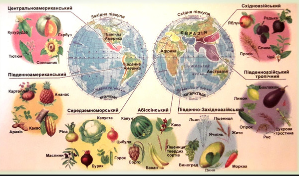 0201l8uu-ad84-599x354.png