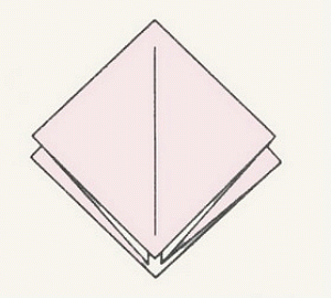 0201l8wi-0ae8-300x270.gif