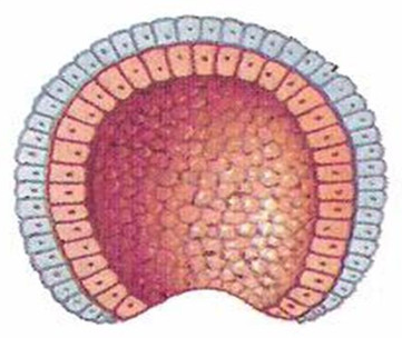 0201l8xp-1d42-361x304.png