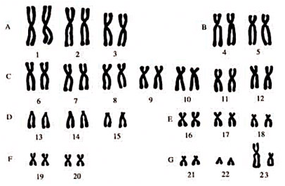 0201l94a-b48b-406x265.png