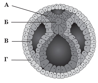 0201l94i-5cdf-376x319.png