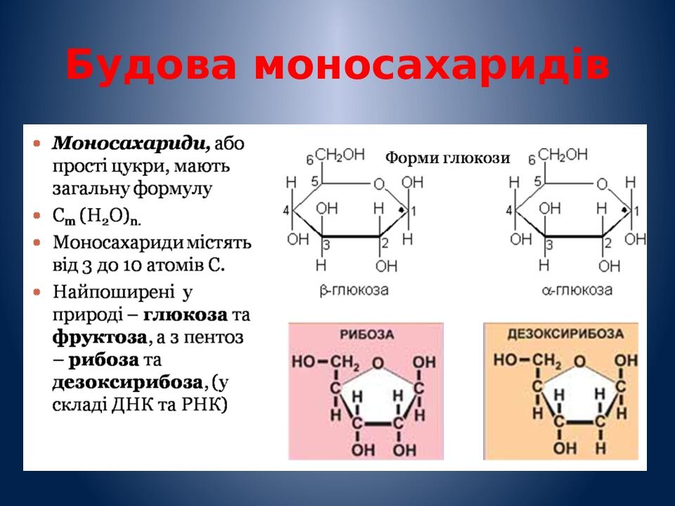 Будова моносахаридів