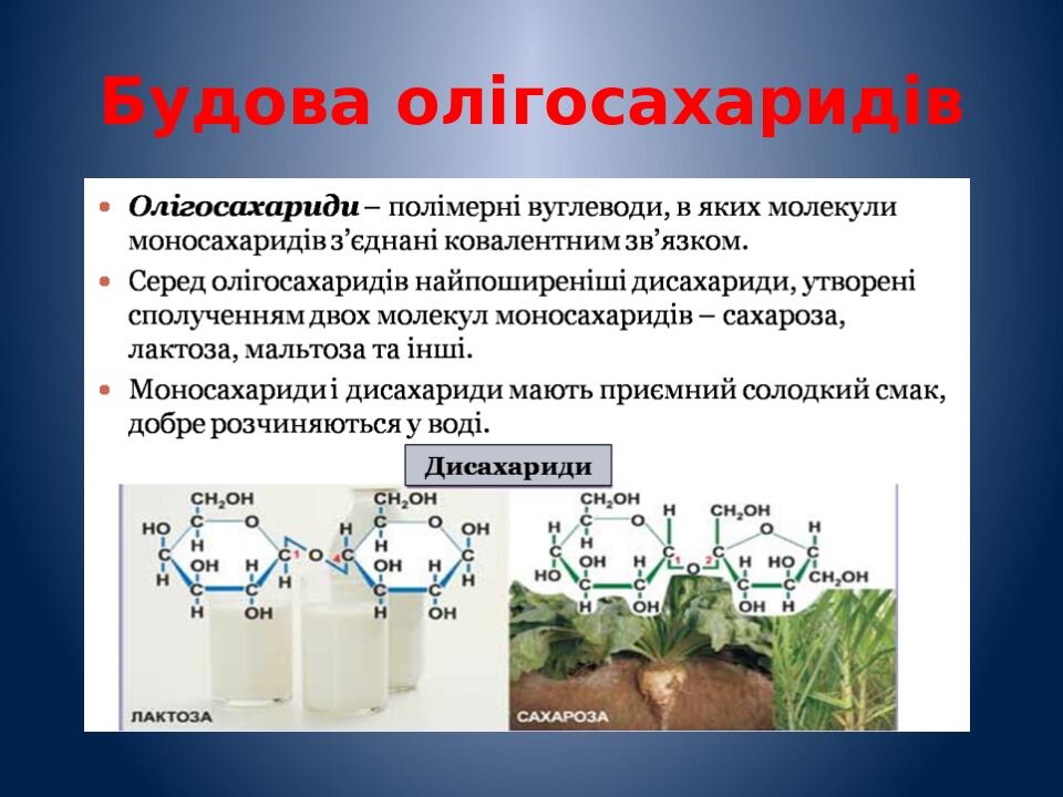 Будова олігосахаридів