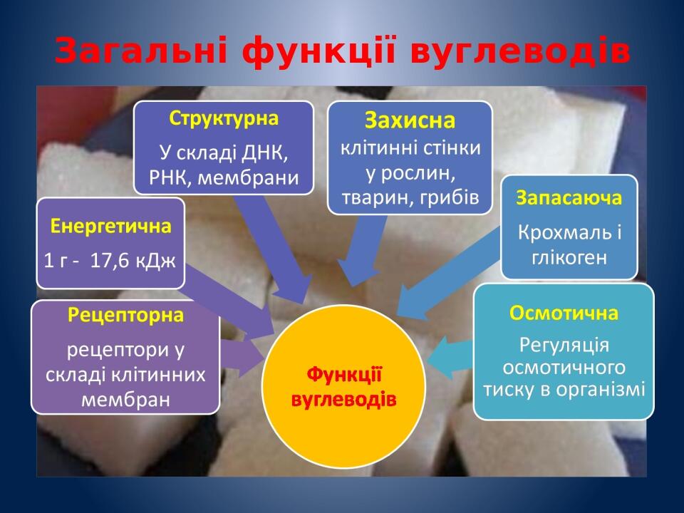 Загальні функції вуглеводів