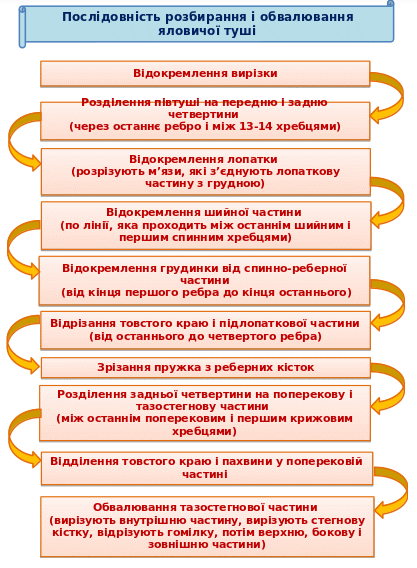 0201lbtk-f879-417x568.png