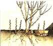 0201lcj9-bc13-106x91.jpg