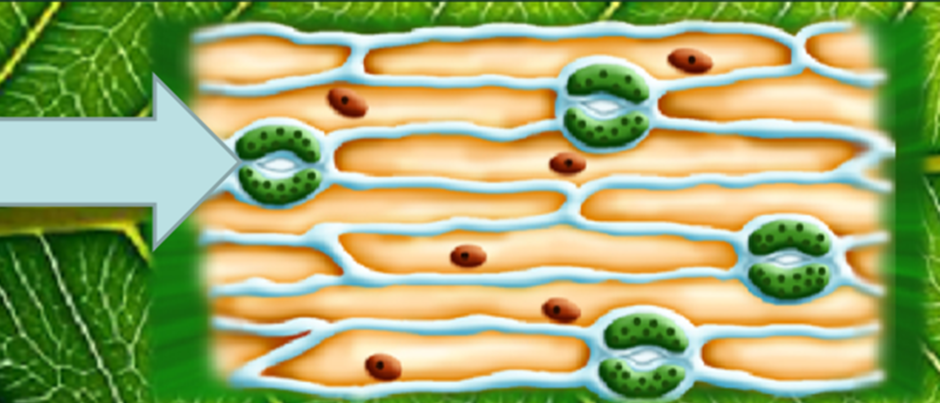 0201ld7e-60a8-940x403.png