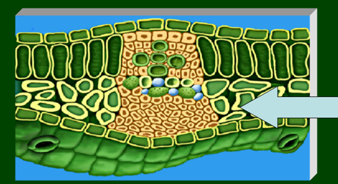 0201ld7p-6462-673x366.png