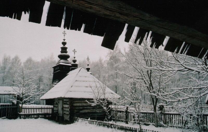 Шевченківський гай взимку