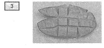 http://subject.com.ua/english/zno/zno.files/image056.jpg