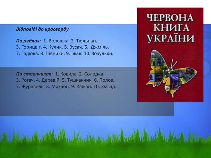 0201ldya-7e90-720x540.jpg