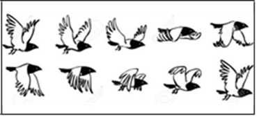 0201le4p-913e-369x169.png