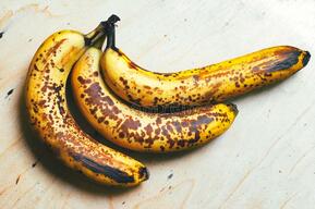 144 Stale Fruits Photos - Free &amp; Royalty-Free Stock Photos from Dreamstime