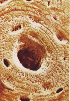 0201legd-7009-267x386.png