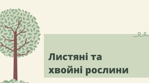Презентація "Листяні та хвойні рослини"