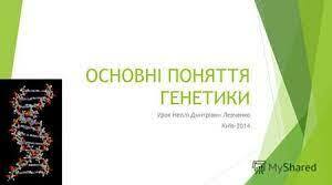 Основні поняття генетики 