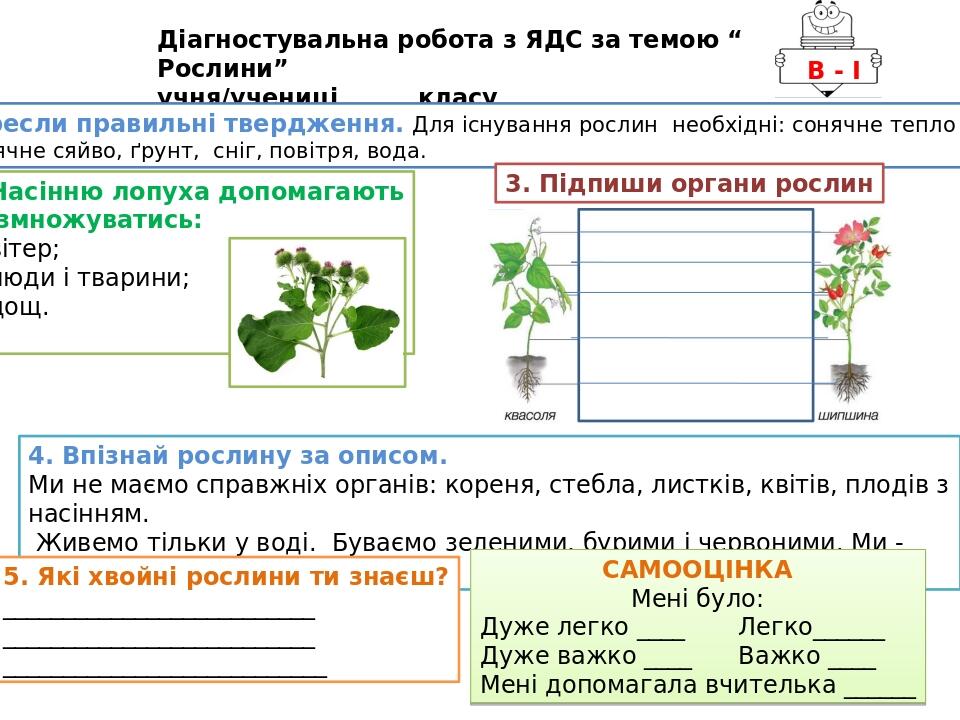 Діагностувальна робота з ЯДС "Рослини" 3 клас | Конспект. Я досліджую світ
