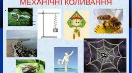 (Копія) (Копія) Контрольна робота.Механічні коливання і хвилі.10 клас