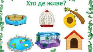 Гра "ХТО ДЕ ЖИВЕ"?