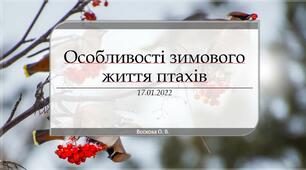 Презентація "У чому полягають особливості зимового життя птахів?"