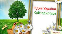 Контрольна робота . 5 клас. "Рідна Україна. Світ природи".