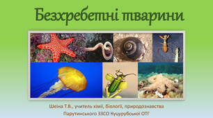 Презентація "Різноманітність безхребетних тварин"