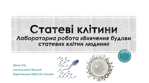 Презентація з біології "Статеві клітини"