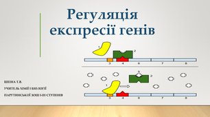 Презентація "Регуляція експресії генів"