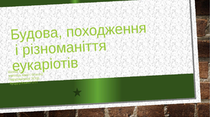 Презентація "Будова, походження і різноманіття еукаріот"