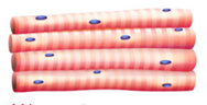 0201ligj-e0c8-188x96.png