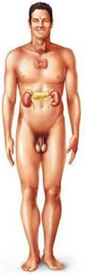 0201lih8-24d5-86x276.png