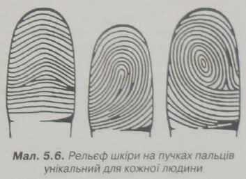 0201ljk1-e7e7-665x484.jpg