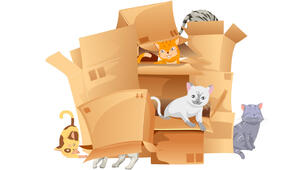 Знаходження та виправлення помилок у алгоритмах.