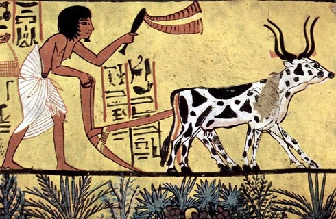 Culture Trivia Question: What was the sacred animal of ancient Egypt?