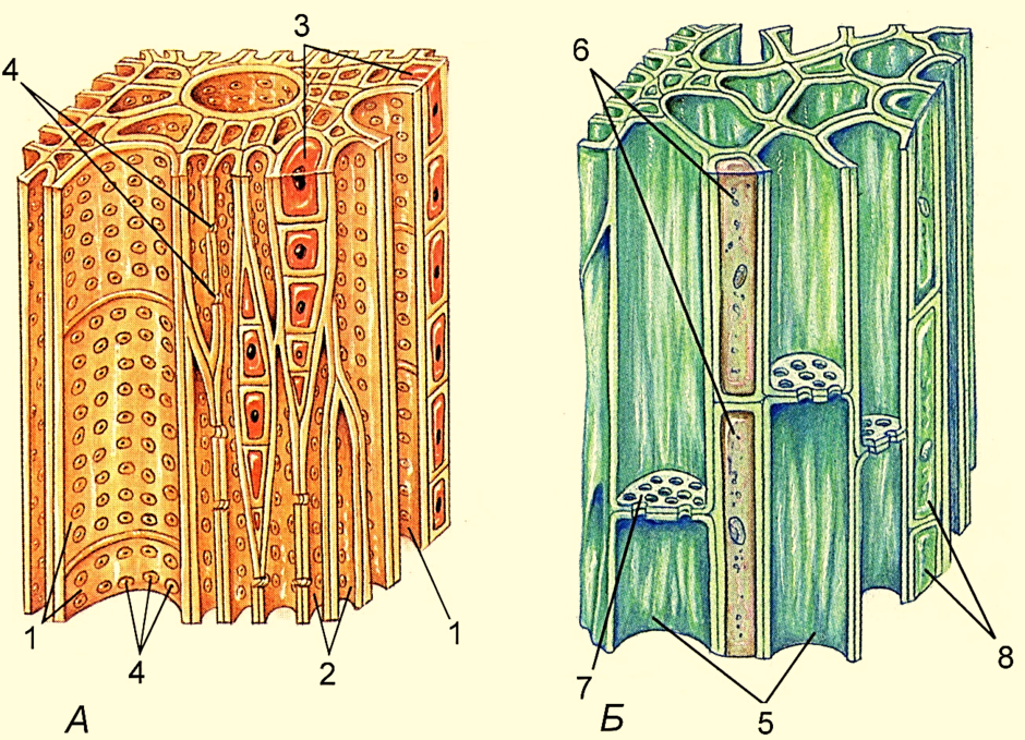 0201ln5p-3b00-940x679.png