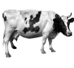 0201lso0-6579-109x100.png