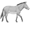 0201lso1-daa7-106x105.png