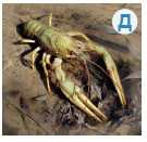 0201ltbl-a583-135x131.png