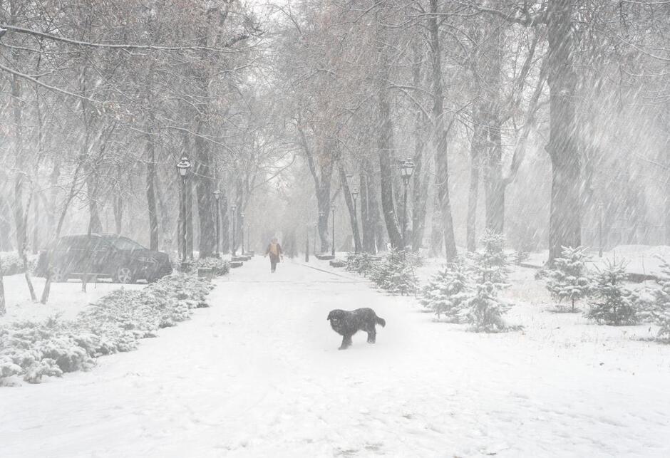 Сьогодні - День прогулянки на свіжому повітрі / фото ua.depositphotos.com