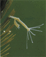 0201lx0a-e0b9-66x81.gif