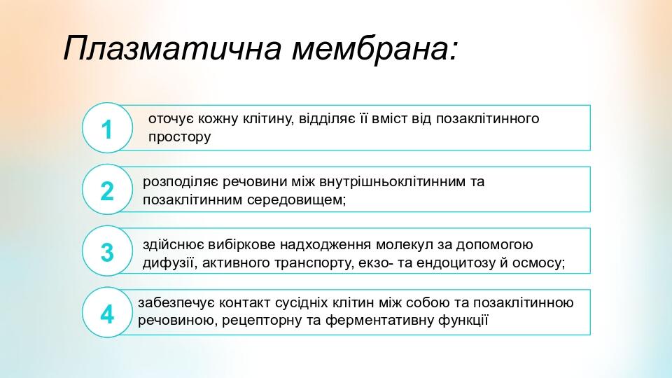 Плазматична мембрана: оточує кожну клітину, відділяє її вміст від позаклітинного простору 1 розподіляє речовини між внутрішньоклітинним та позакліт...