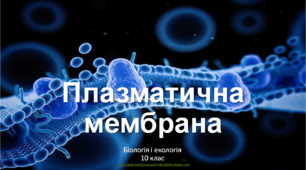 Презентація "Плазматична мембрана: будова і функції"