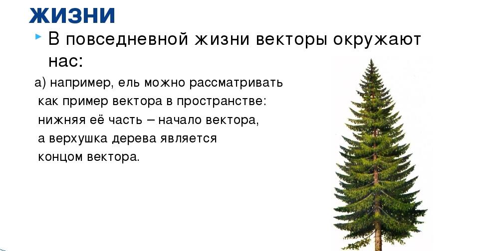 Где вектор. Применение векторов в жизни. Векторы в жизни примеры. Применение векторов в повседневной жизни. Векторы в жизни человека.