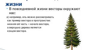 Координати вектора.  Довжина вектора. 